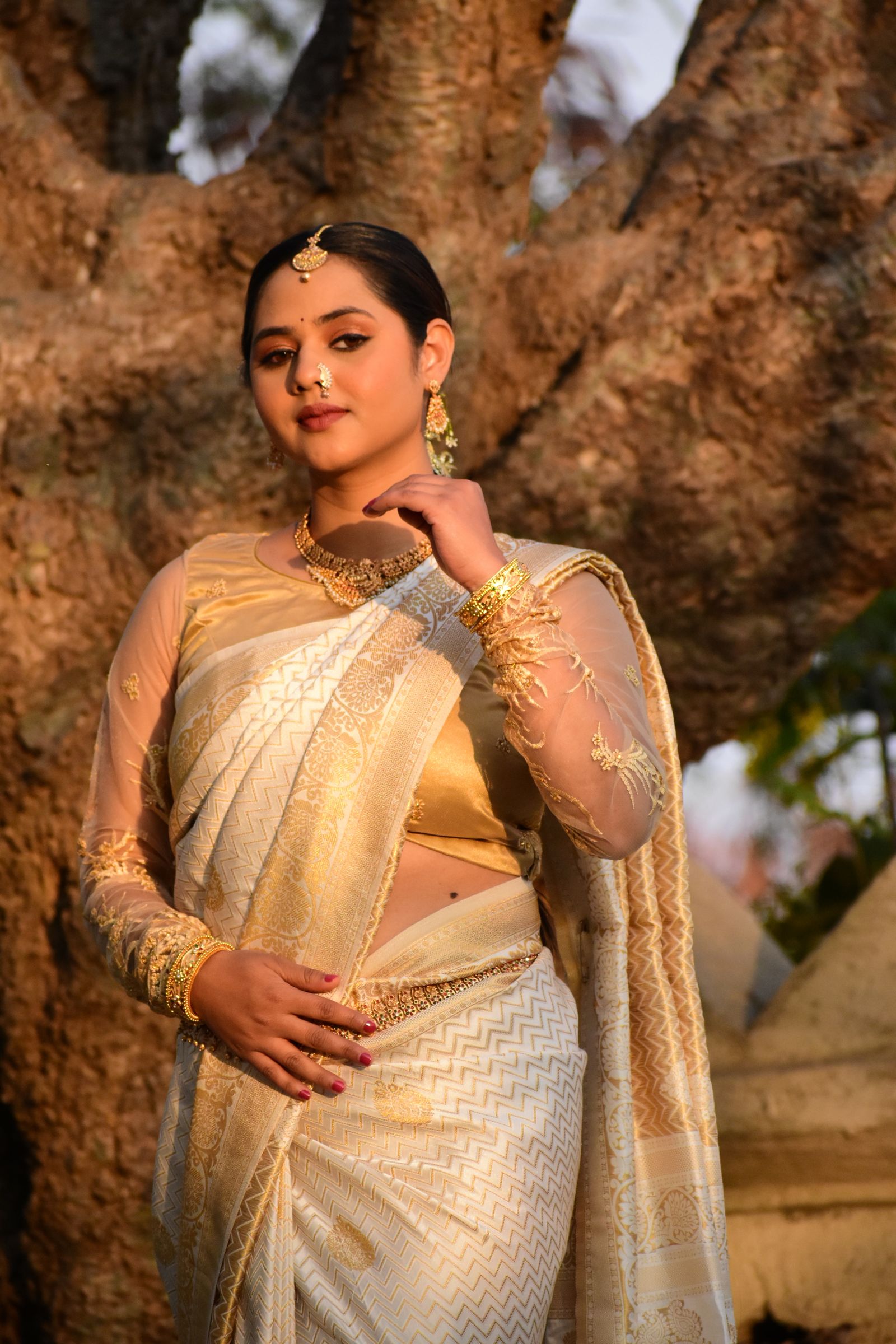 Banarasi georgette saree