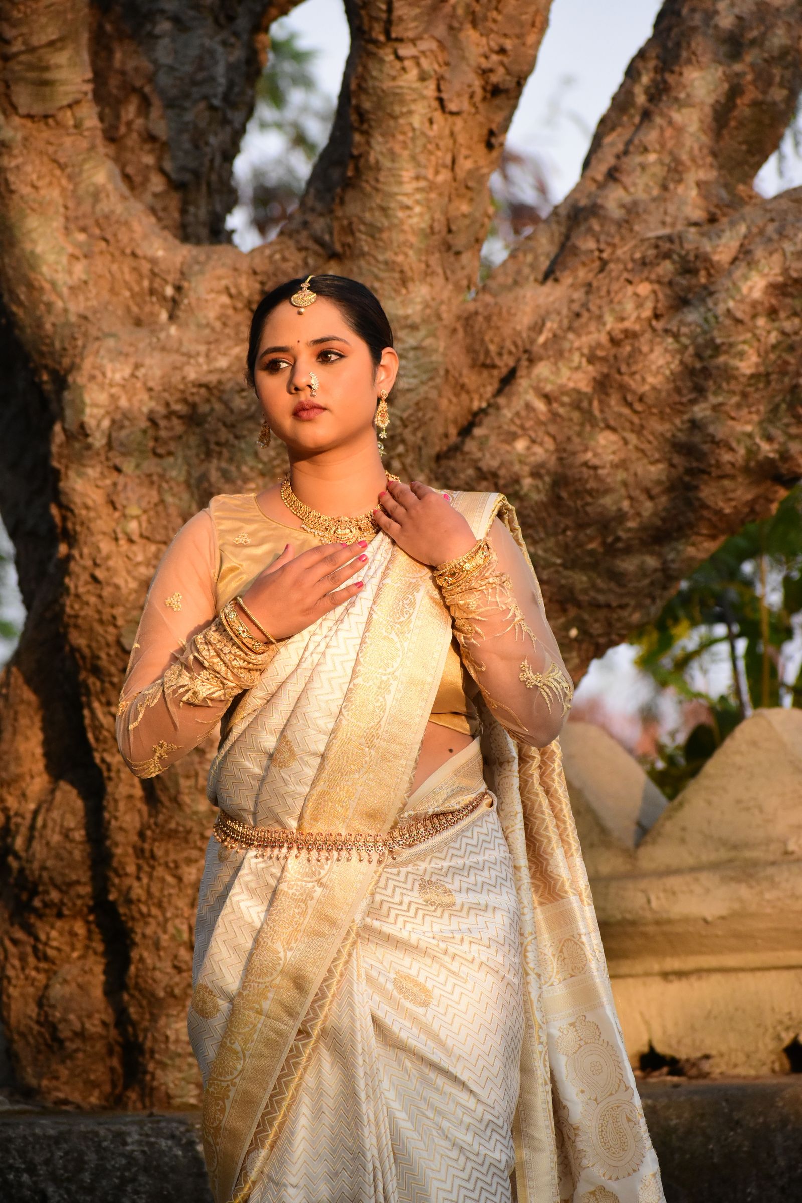 Kanjivaram silk saree