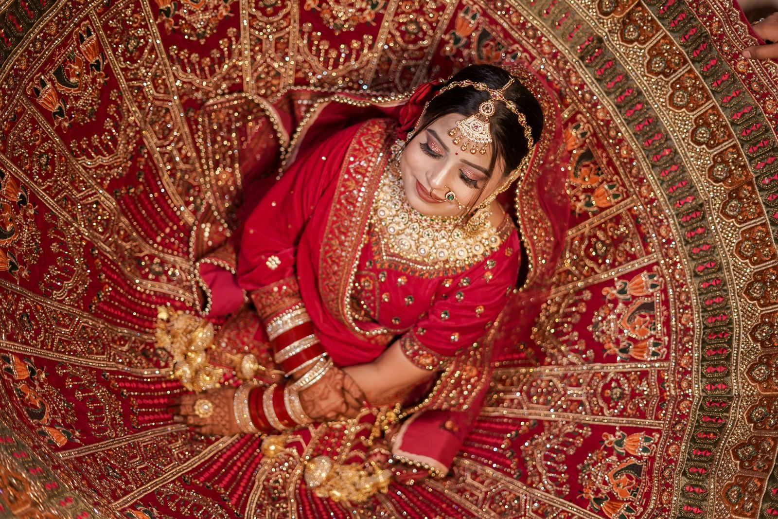 Cream gold saree